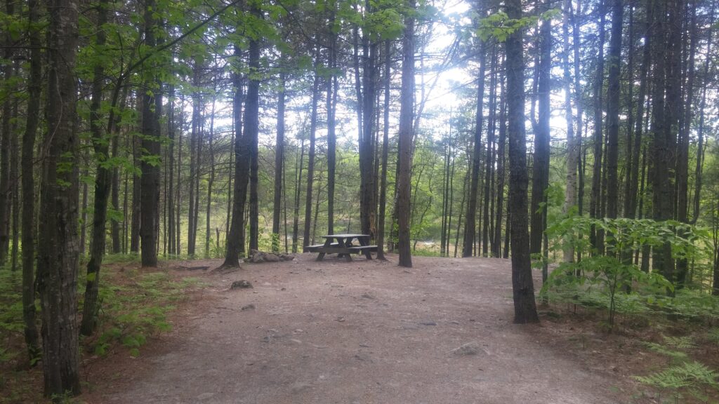 Site 1A, picnic table