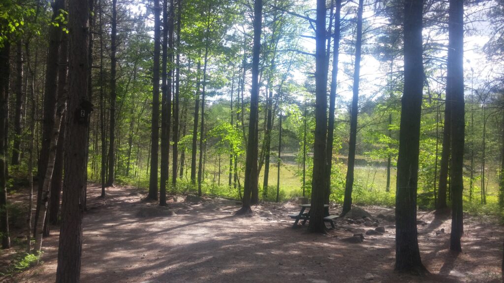 Site 2 with view of the pond