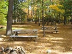 Sites Center 2 and Center 3, picnic tables
